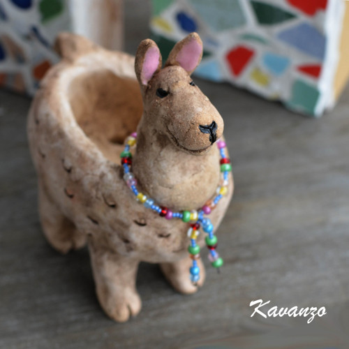 Lama Helenka — foto 1