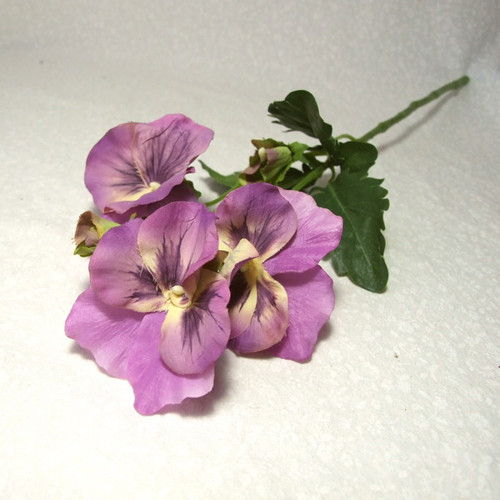 Macešky — foto 1