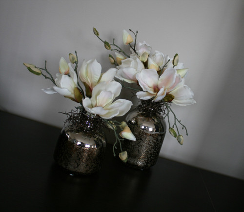 Sada váz s magnoliemi — foto 1