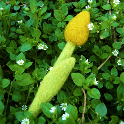 Tulipánová brož žlutá — foto 1