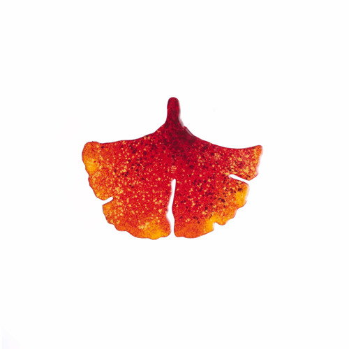 Brož ginko