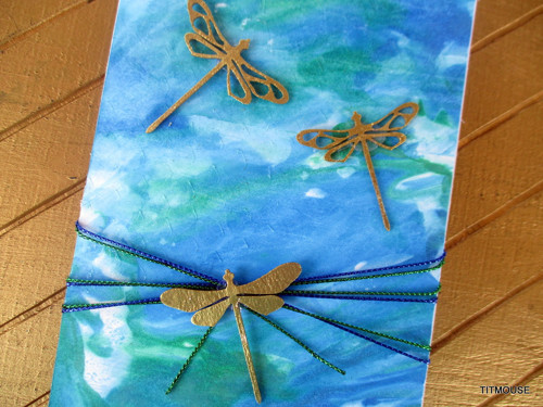 Dragonflies — foto 1