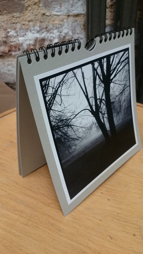 Blok stromy 1 — foto 1