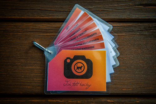 Taháček o fotografování koček