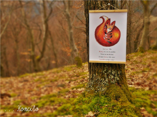 ! SLEVA ! Plakát A3: L i š k a + t e x t