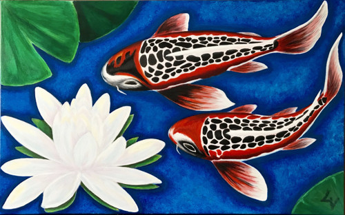 Kapři Koi