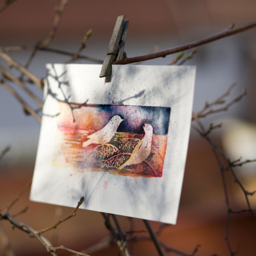 Hnízdění — foto 1