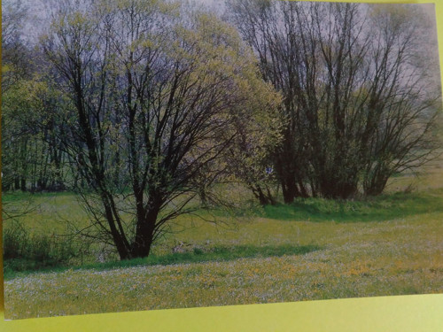 Pohlednice - krajina
