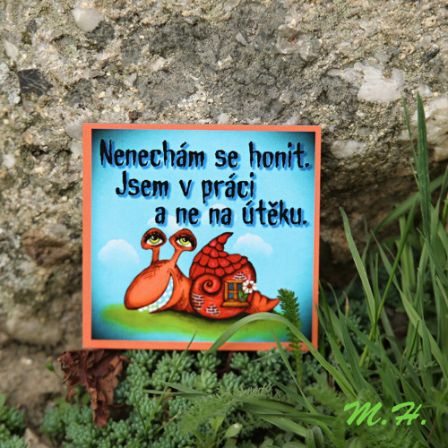Nenechám se honit.... - magnetka- šnek — foto 1