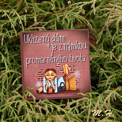 Uklizený dům.... - magnetka