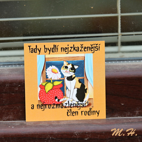 Tady bydlí nejzkaženější člen.. - magnetka - kočka