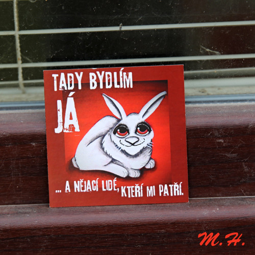 Tady bydlím já... - magnetka - králík