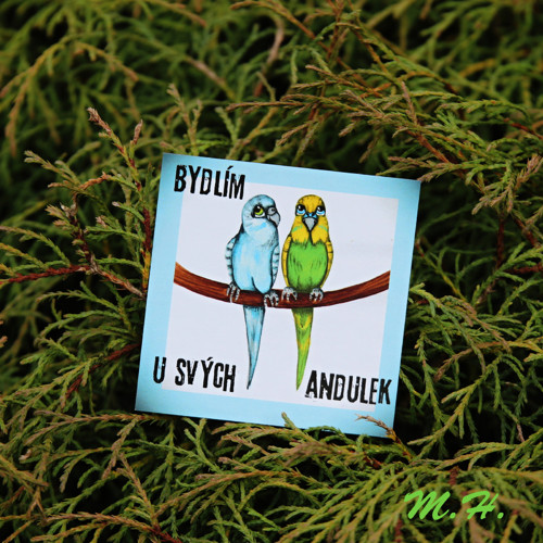 Bydlím u svých andulek - magnetka