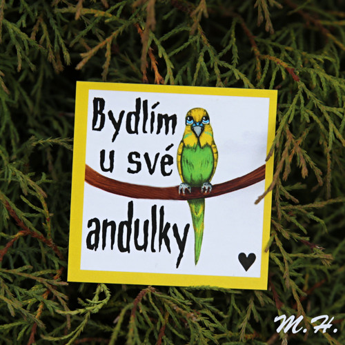 Bydlím u své andulky - magnetka