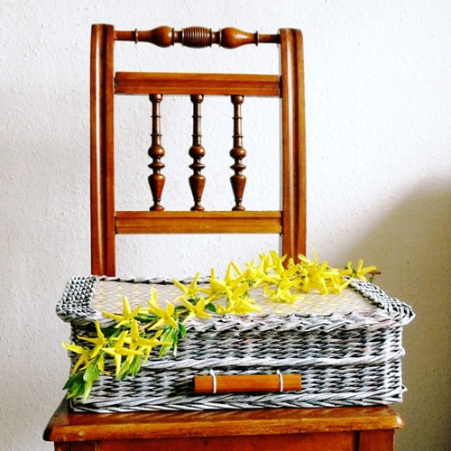 Jarní kufřík — foto 1