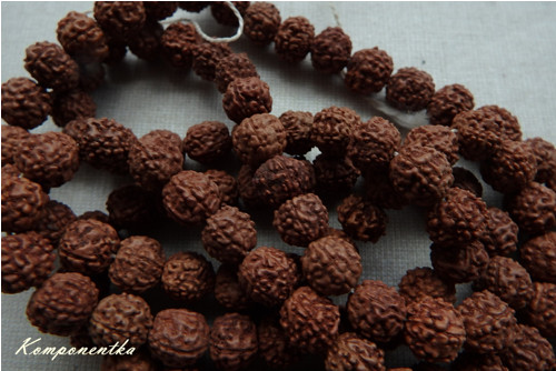 Rudraksha semeno - 8mm 4kusy