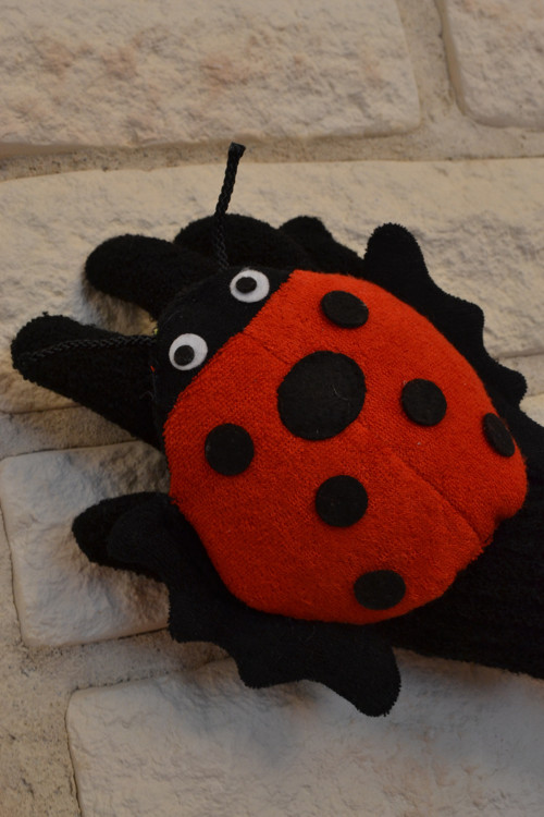 Slečna Beruška