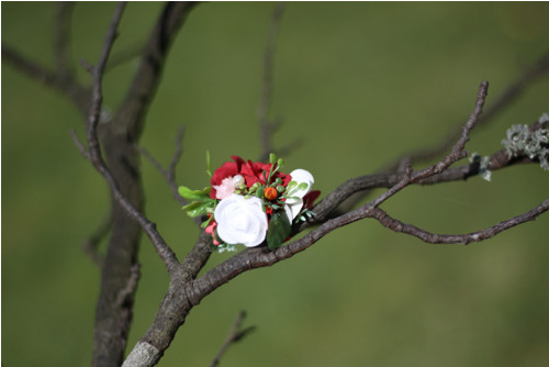 Ring "Západ"