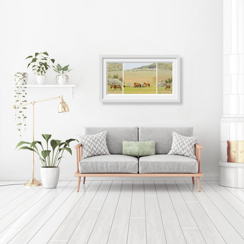Ze života koní - koláž ze 3 autorských fotografií