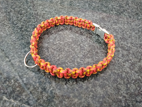 Paracord psí obojek