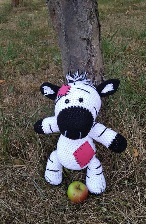 Háčkovaná zebra — foto 1