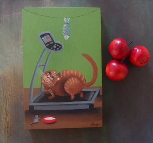 Catfitness — foto 1
