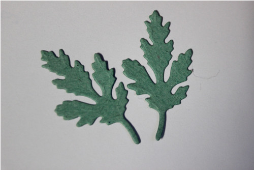 Listy plné zelené — foto 1