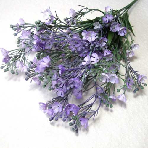 Řeřišnice fialová — foto 1