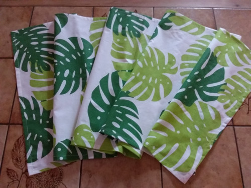 Běhoun velké listy monstera — foto 1