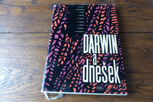 Darwin a dnešek, 1959 — foto 1