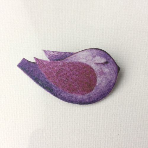 Brož- Ptáček — foto 1