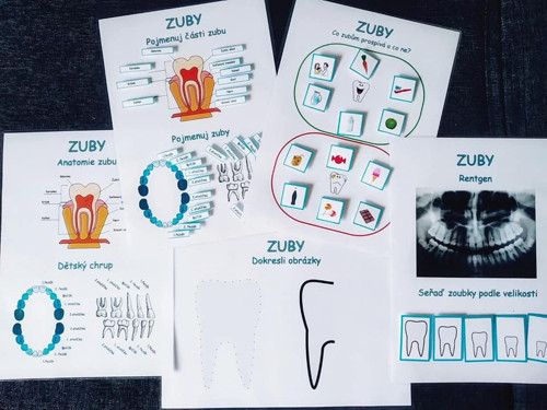 Výuková sada ZUBY - PDF