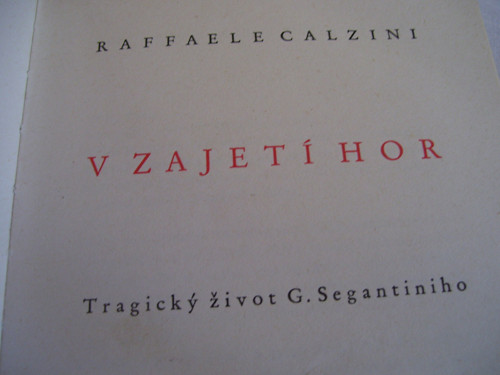 V Zajetí Hor