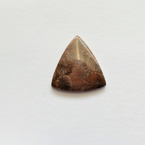 Korál fosilní 22 kabošon 34 x 33 x 6 mm