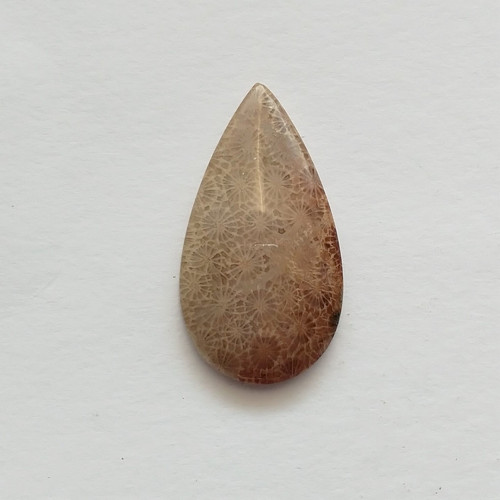 Korál fosilní 25 kabošon 48 x 26 x 8 mm