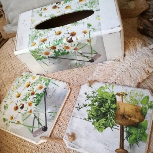Kopretiny — foto 1
