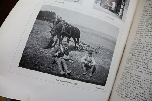 Český svět - č. 33, roč. VII, r. 1910