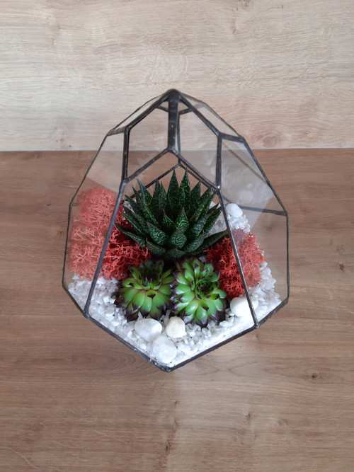 Florarium