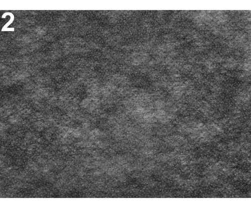 1m Pewter Novopast 40+18g/m² Šíře 90cm Netkaná