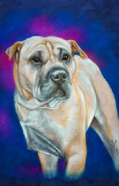 Portrét Betty, domácího mazlíčka pastelem 40 x 50