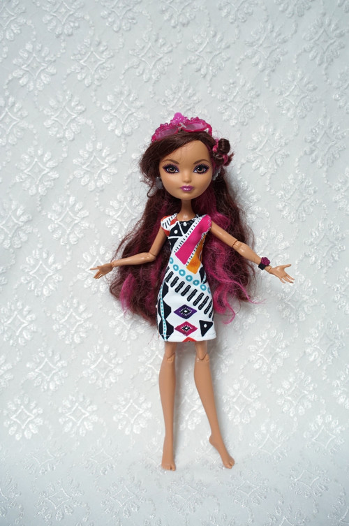 Šaty pro MH / Ever After High — foto 1