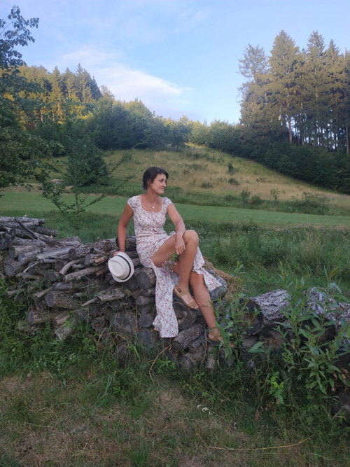 Bulharská růže — foto 1