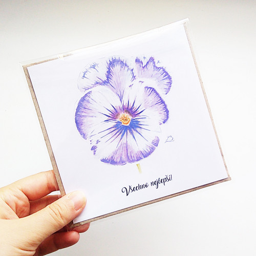 Maceškové přání — foto 1
