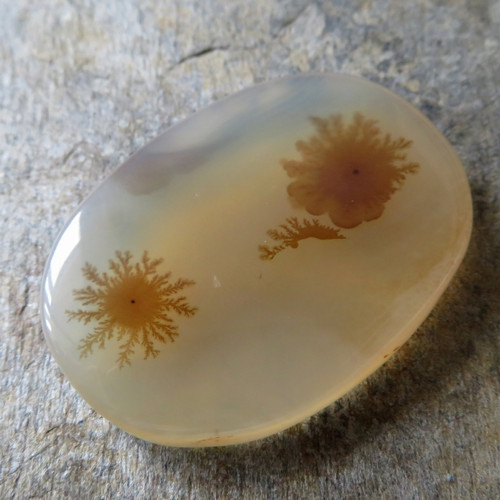 Dendritický chalcedon Madagaskar XXL č.A7 — foto 1