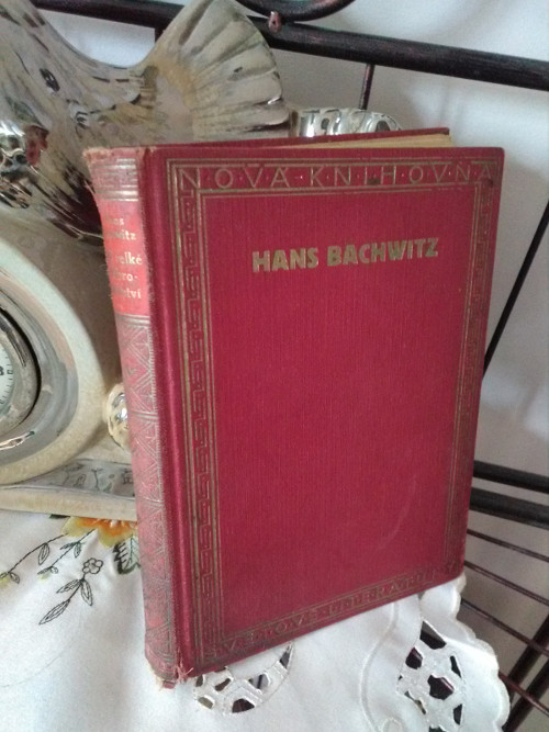 Její velké dobrodružství - Hans Bachwitz 1929