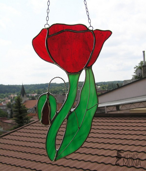 Vlčí mák — foto 1