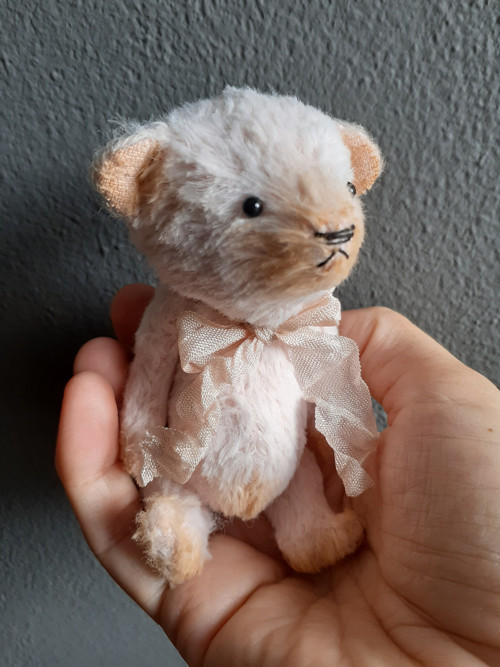 Medvídek Pidižvík — foto 1