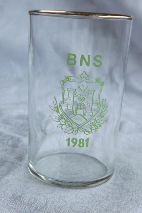 BNS 1981 - Běh Nýřanské stávky 1890 — foto 1