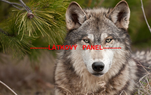 Bavlněný panel vel.A5
