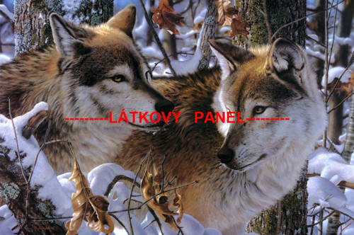 Bavlněný panel vel.A5